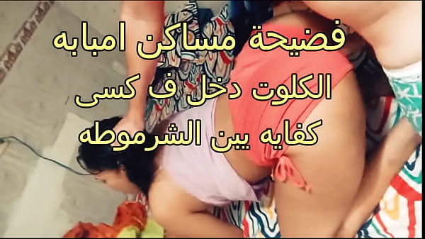 Bokep Tobrut